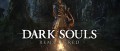 Image Quelques détails sur Dark Souls : Remastered