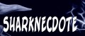 Image Sharknecdote #2 - La cartouche Zelda hantée