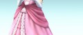 Image [SSBB] Le personnage du jour!