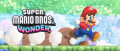 Image Super Mario Bros. Wonder déjà terminé en 1H30 en speedrun Any% et en 5H37 en 100%