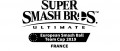 Image Super Smash Bros. Ultimate : ultime chance pour vous inscrire à L’European Smash Ball Team Cup 2019