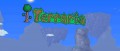 Image Terraria : le didacticiel en français de la version Wii U