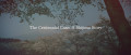 Image The Centennial Case: A Shijima Story se dévoile dans un nouveau trailer sur Nintendo Switch