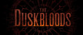 Image The Duskbloods : l'exclusivité Nintendo Switch 2 de FromSoftware officiellement reportée en 2027