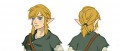 Image The Legend of Zelda : Breath of The Wild : Link retrouve sa tunique verte