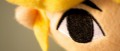 Image Toon Link le mal aimé : Miyamoto se justifie