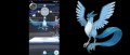 Image Un Artikodin capturé dans Pokémon Go ? Niantic répond