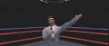 Image Un concurrent à Wiiboxe