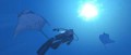 Image Un site bulleux pour Forever Blue