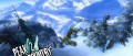 Image Vidéo: SSX Blur !