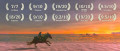 Image Zelda Tears of The Kingdom : la presse sous le charme dans l'Accolade Trailer FR