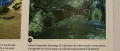 Image Zelda: Tears of The Kingdom : le nombre de Korogu à trouver dévoilé ainsi que la récompense de la quête