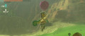 Image Zelda Tears of the Kingdom : Nintendo vous offre trois items pour prendre de la hauteur