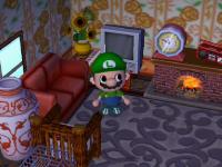 Luigi acwii