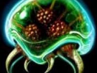 metroid :peur: