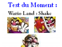 wario
