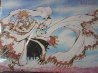Tsubasa cadre