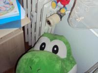 gros yoshi