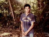 Meddy