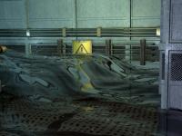 Hydrophobia6