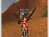 Tankana