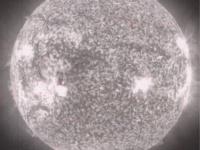 panete blanche 2