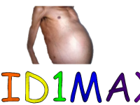BID1MAX IS BACK