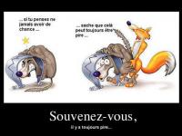 Un chien niqué