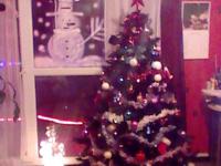 sapin