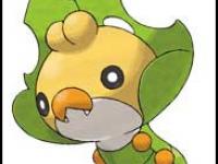 Nouveau Pokemon chenille