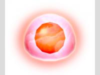 Bombe Gluante 1
