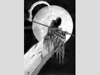 Grande faucheuse pleine lune