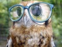 Chouette geek