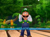 Luigi 4