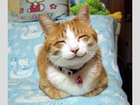Smile!