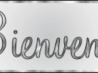 bienvenue