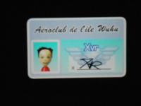 Carte de Pilotwings