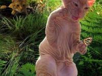 Golum Chat