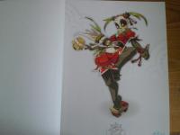 Poster Book Wakfu 2