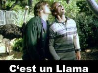 C'est un lama Dude