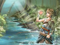 Link pêche un réceptacle de coeur