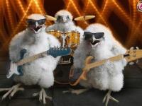 Rock'N Roll