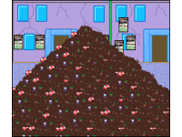 detritus