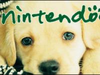 Nitendogs
