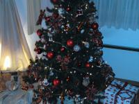 Mon beau sapin, roi des sapins
