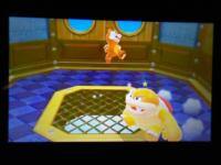 SuperMario3D-17