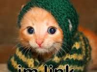 chat link