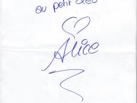 Secret story 2008 alice