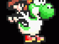 Yoshi saute