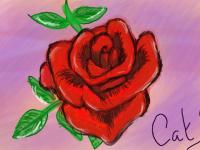 rose rouge